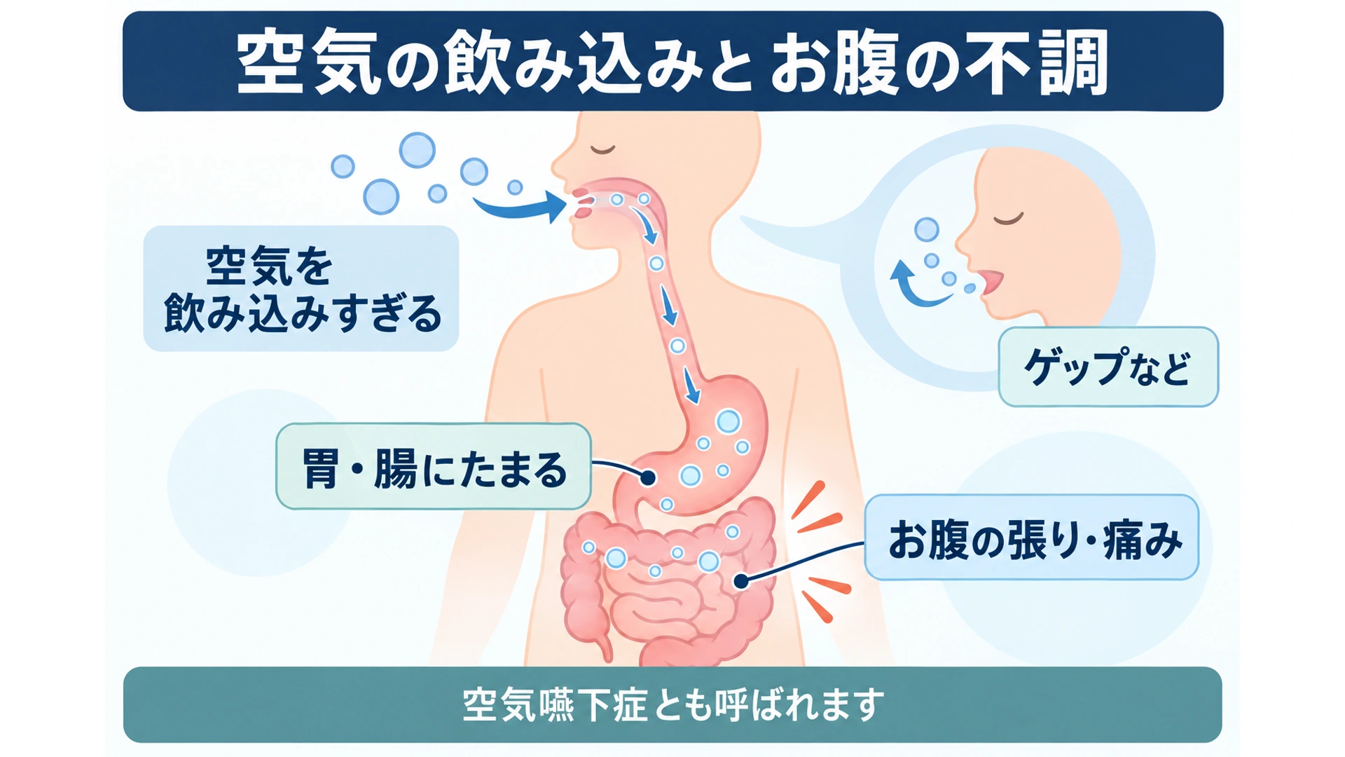空気の飲み込みとお腹の張り・ゲップ