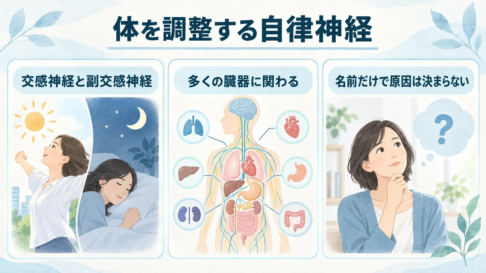 自律神経失調症とはの要点：交感神経と副交感神経、多くの臓器に関わる、名前だけで原因は決まらない。